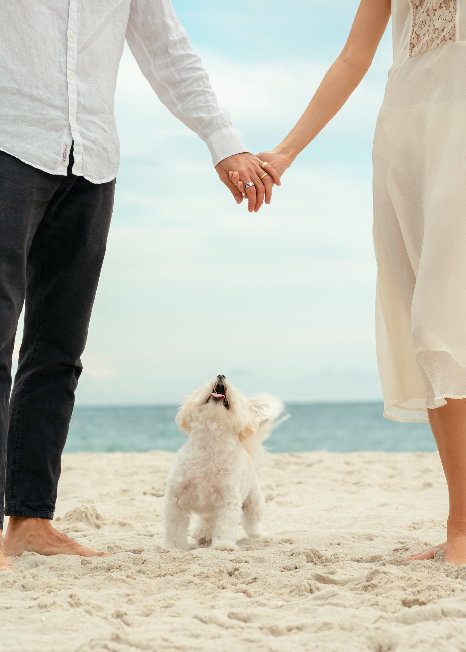 Couple holding hands with Bella between them on a bright beach